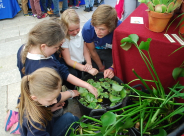 Festival of Nature article 1